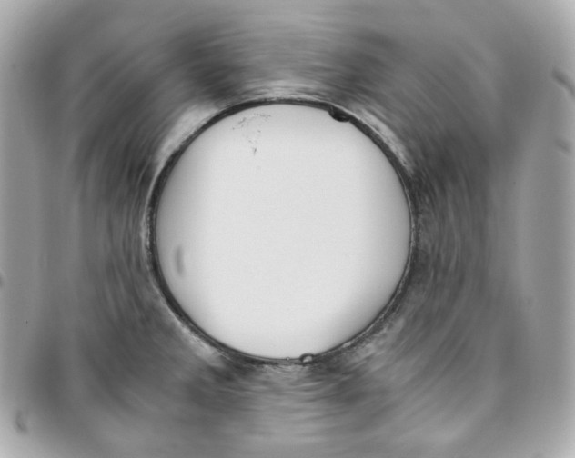 X0000095891285200802011059