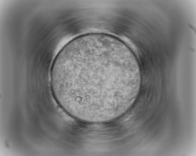 X0000095891287200802011059