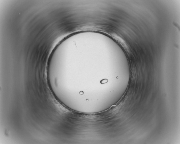 X0000095891288200802011059