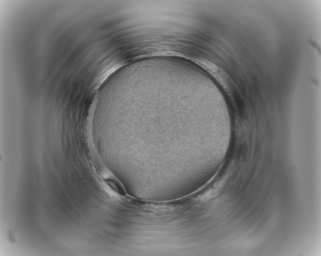 X0000095891289200802011059