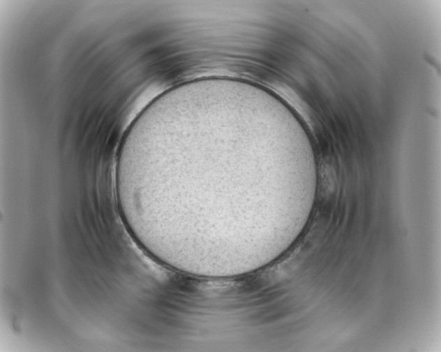 X0000095891290200802011059