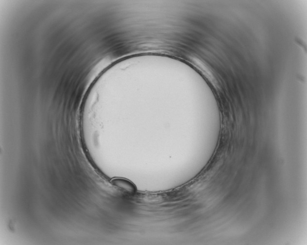 X0000095891291200802011059