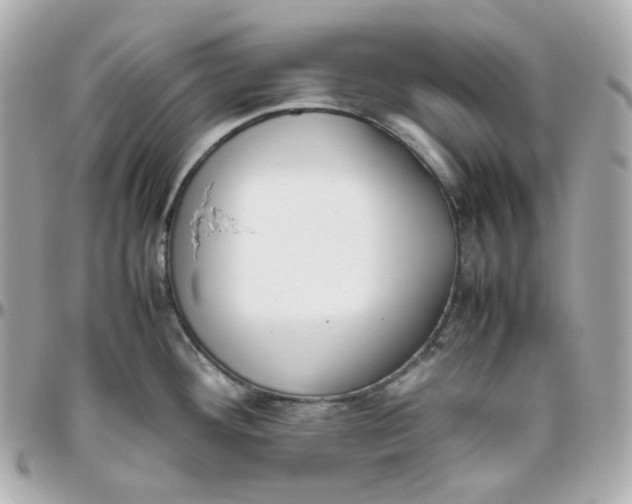 X0000095891292200802011058