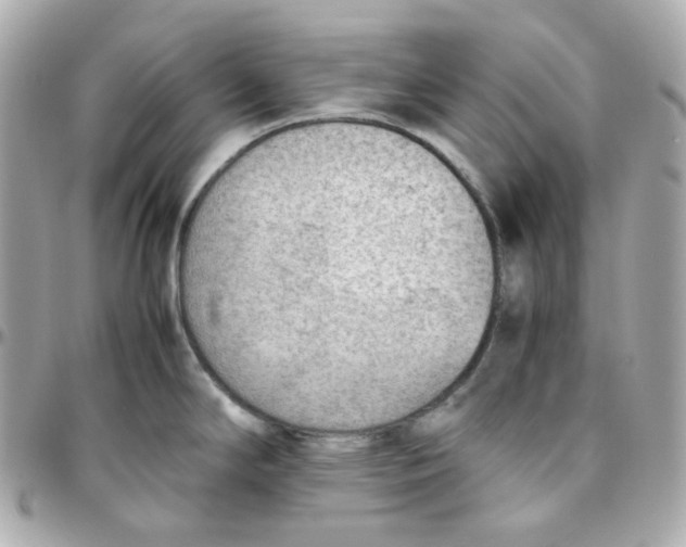 X0000095891294200802011058