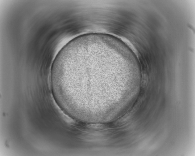 X0000095891295200802011058