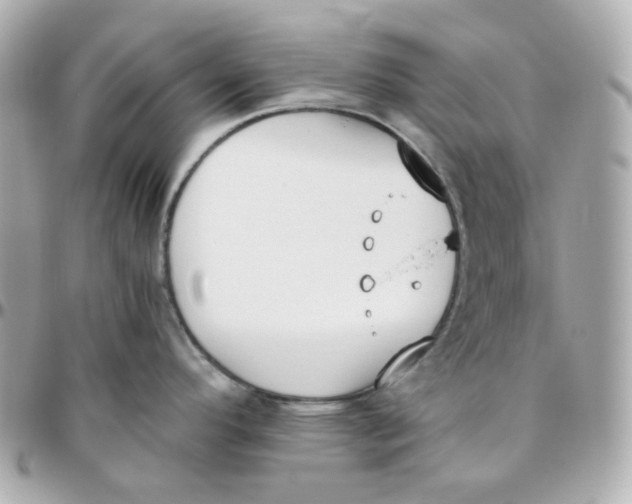 X0000095891296200802011058