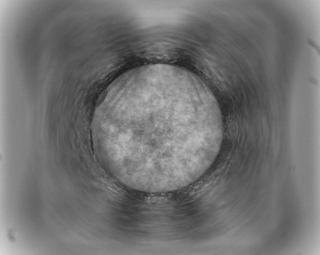 X0000095891297200802011058