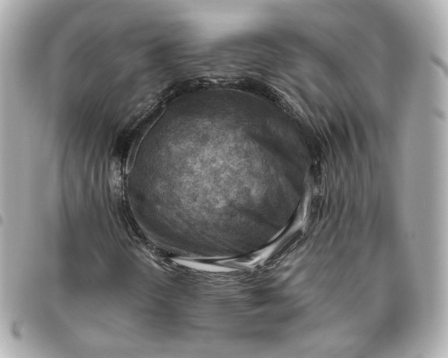 X0000095891298200802011058