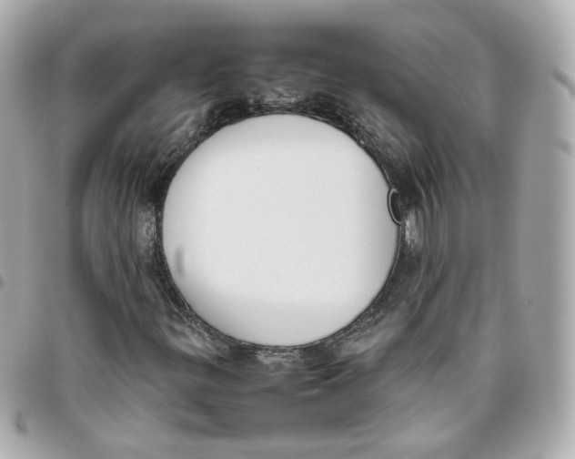 X0000095891299200802011058