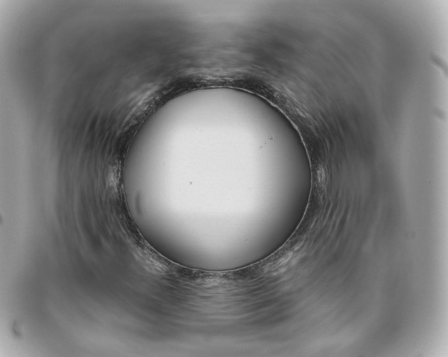 X0000095891300200802011058