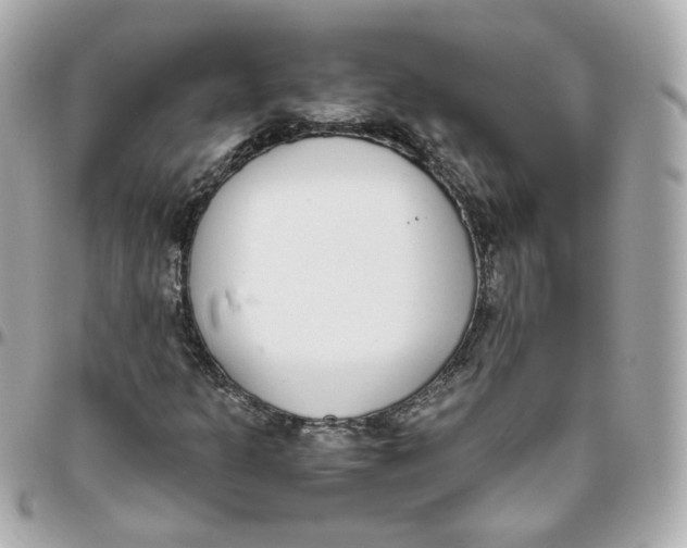 X0000095891301200802011058