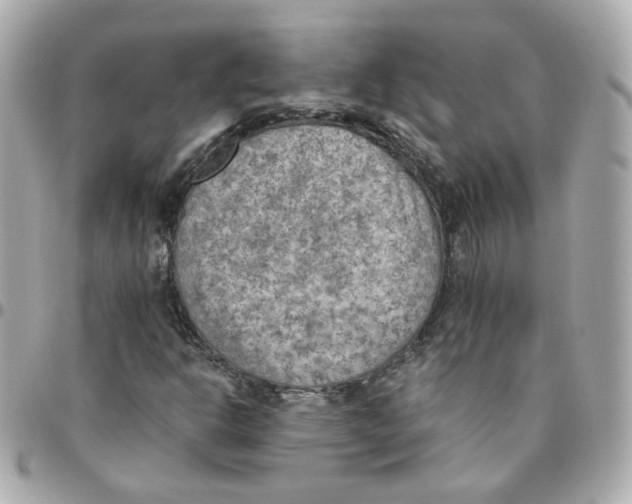 X0000095891302200802011058