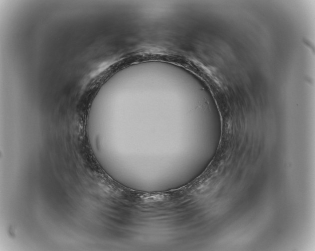 X0000095891303200802011058