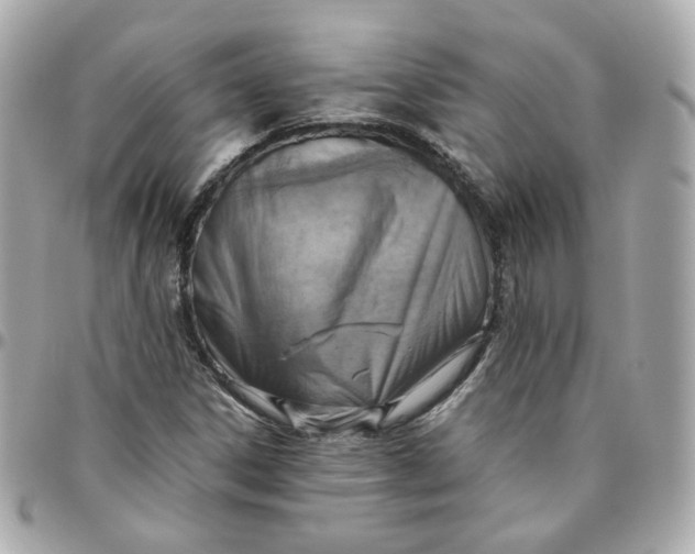 X0000095891306200802011058