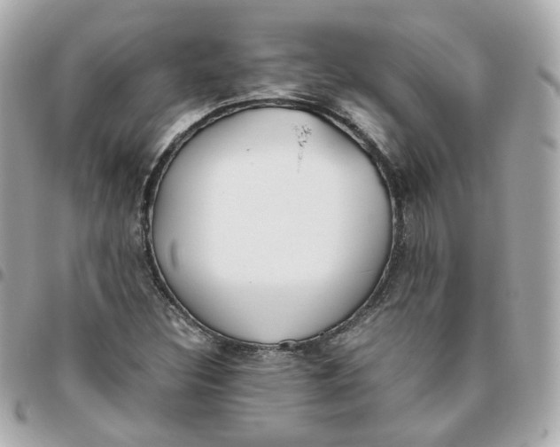 X0000095891308200802011058