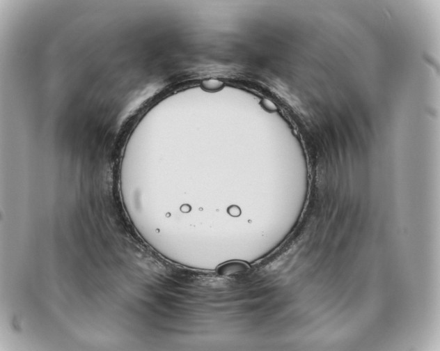 X0000095891309200802011058