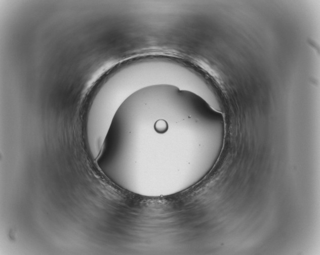 X0000095891310200802011058