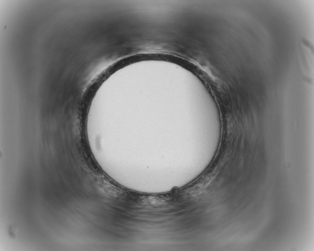 X0000095891311200802011058