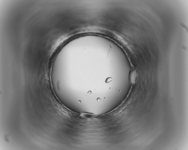 X0000095891312200802011058