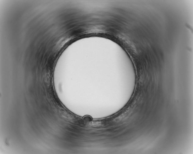 X0000095891313200802011058