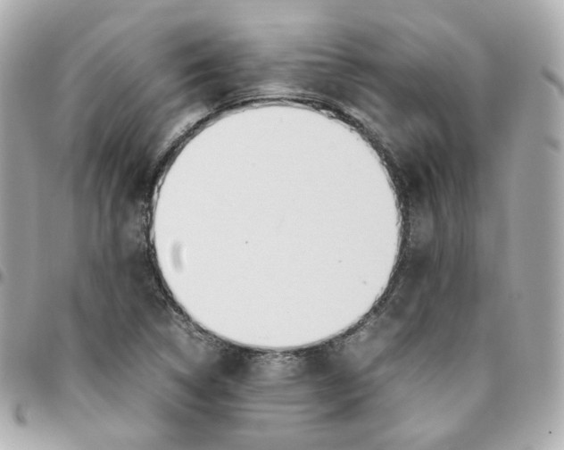 X0000095891314200802011058