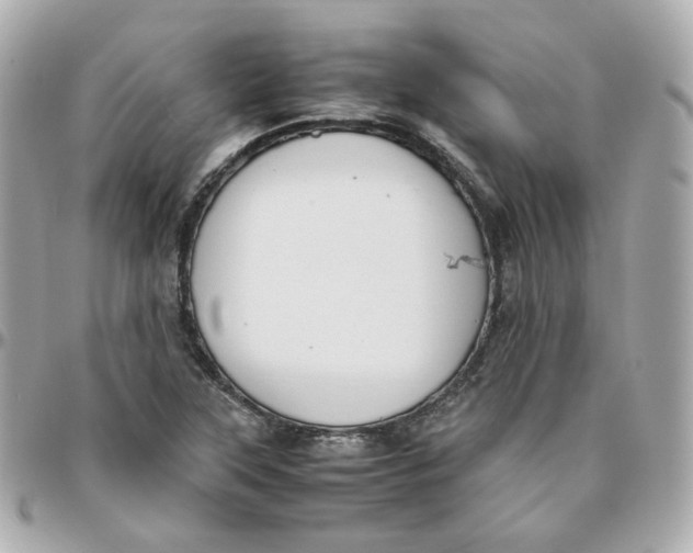 X0000095891315200802011058