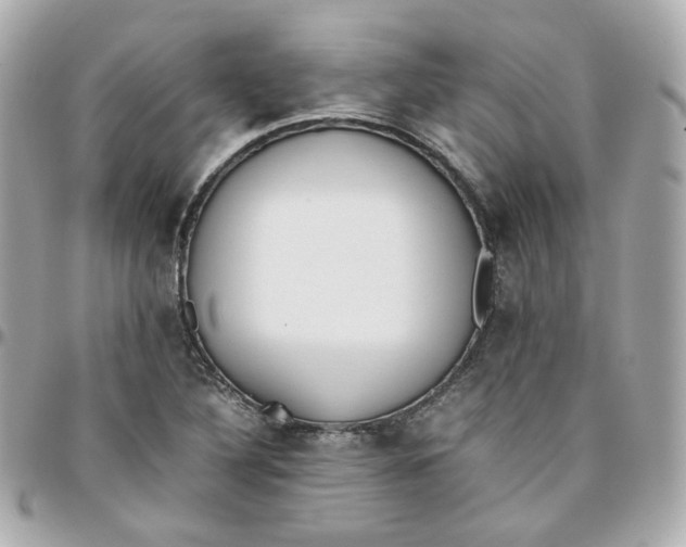 X0000095891316200802011058