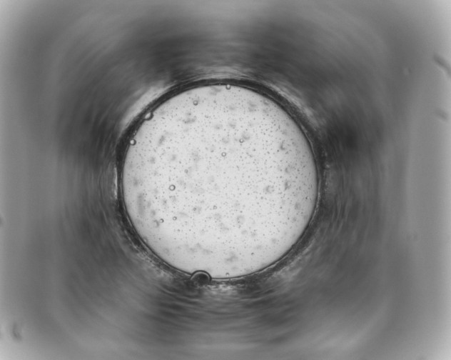 X0000095891317200802011058