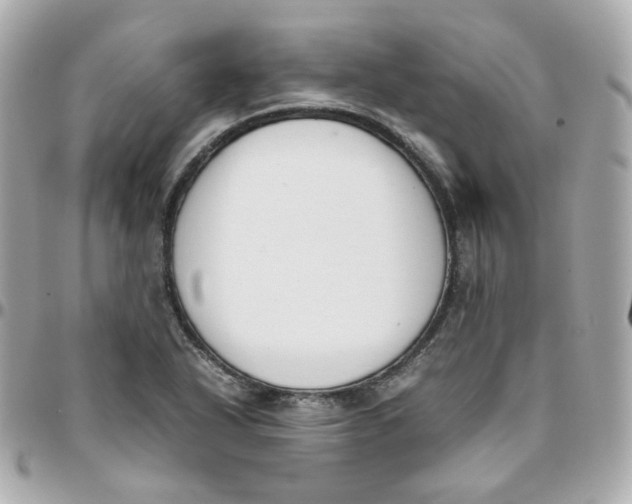 X0000095891318200802011058