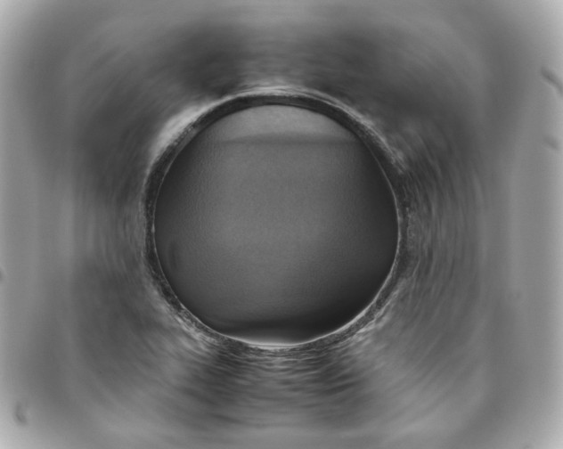 X0000095891319200802011058