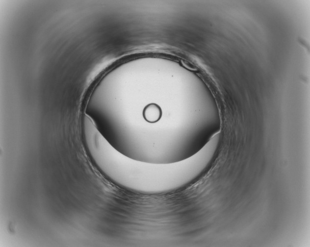 X0000095891320200802011058