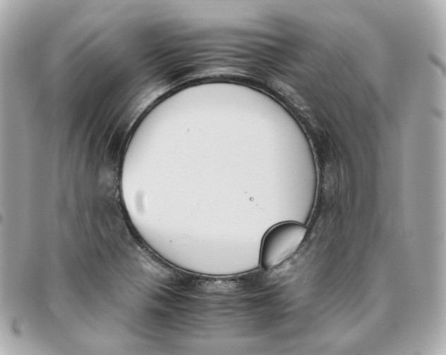 X0000095891321200802011058