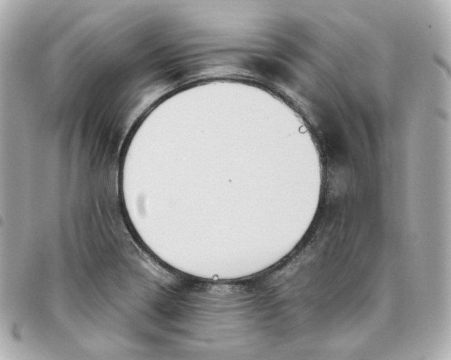 X0000095891322200802011058