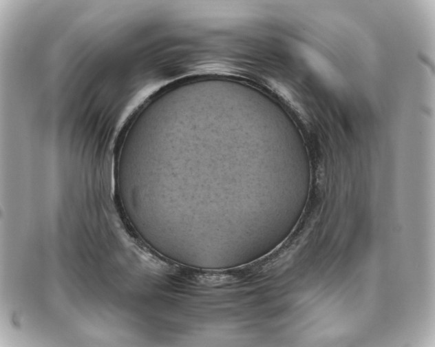 X0000095891323200802011058