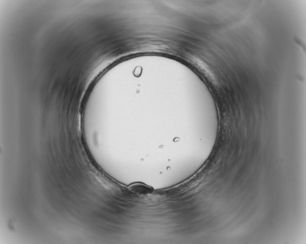 X0000095891324200802011058