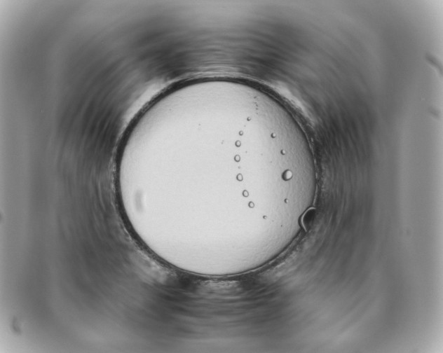 X0000095891325200802011058