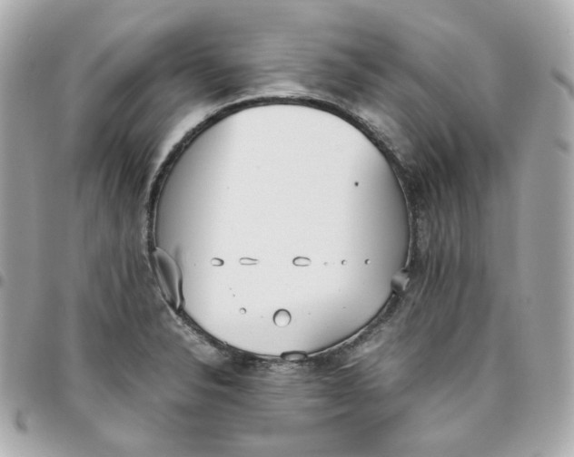 X0000095891326200802011058