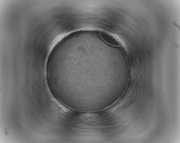 X0000095891327200802011058