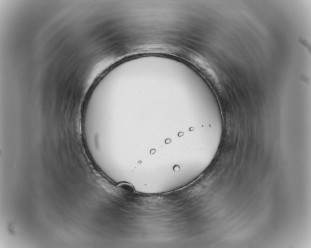 X0000095891328200802011058