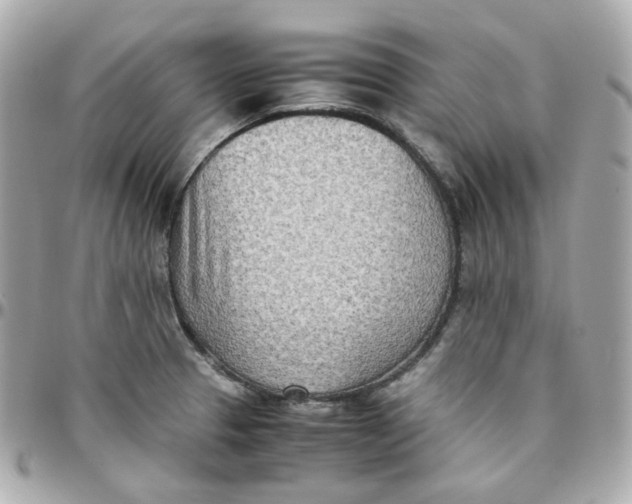 X0000095891329200802011058