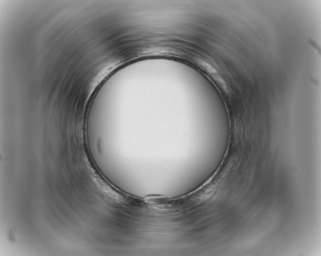 X0000095891330200802011058