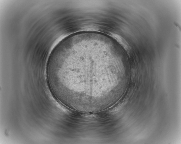 X0000095891331200802011058