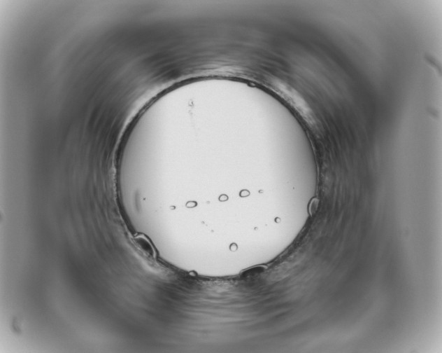 X0000095891332200802011058