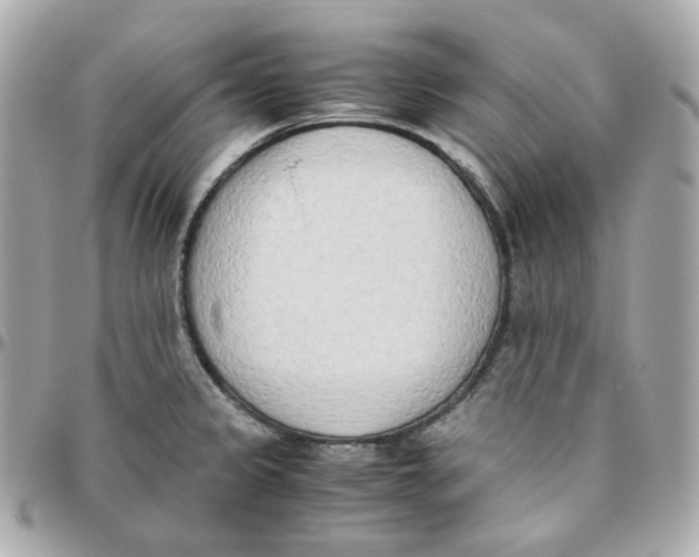 X0000095891333200802011058