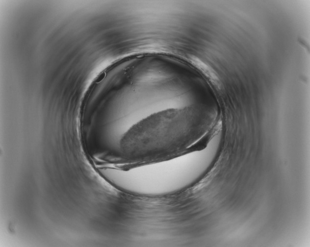 X0000095891334200802011058