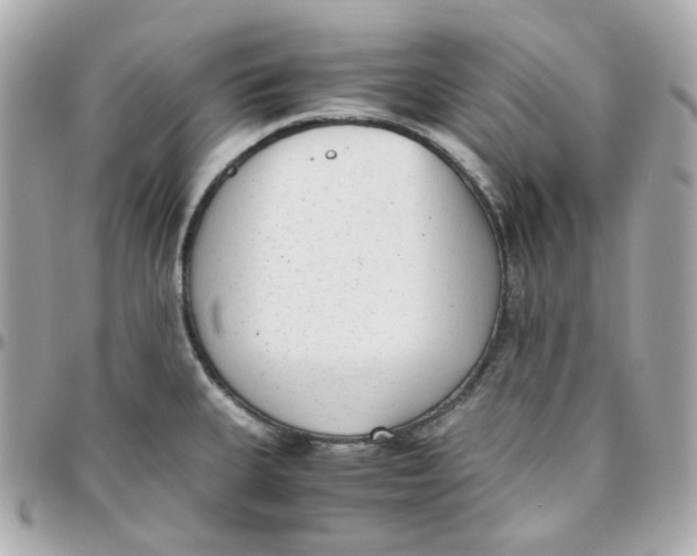 X0000095891335200802011058