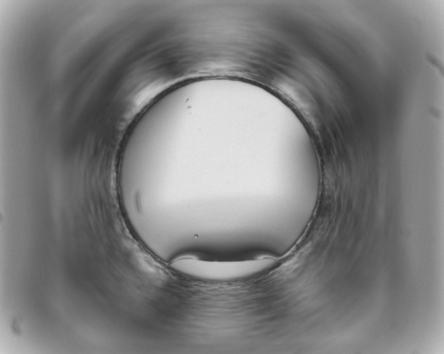 X0000095891336200802011058