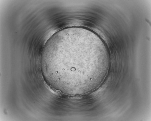 X0000095891337200802011058