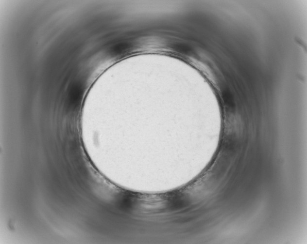 X0000095891338200802011058