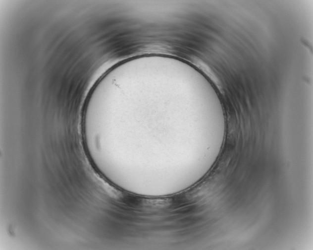 X0000095891339200802011058